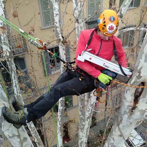 pericolosità alberi Milano