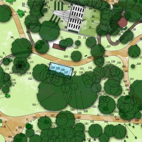 Censimento alberi
