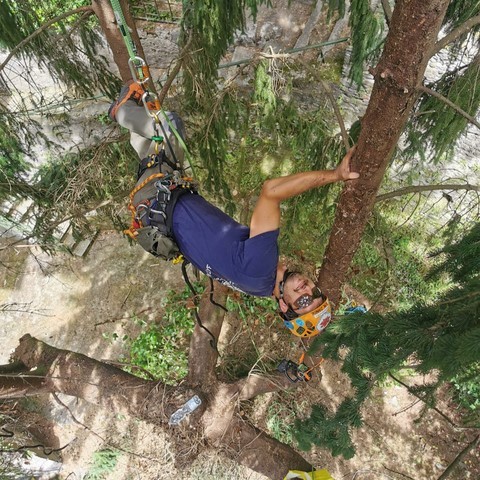 Analisi in Tree Climbing