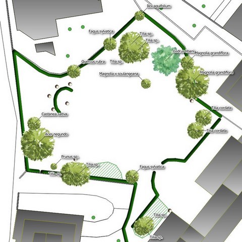 Censimento alberi