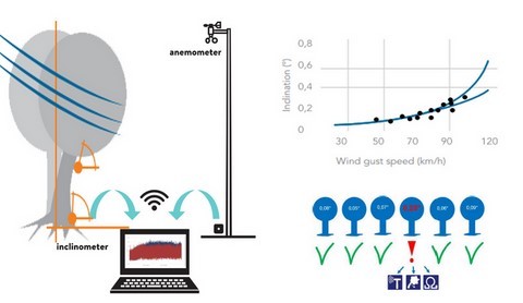 Tree Motion Sensors