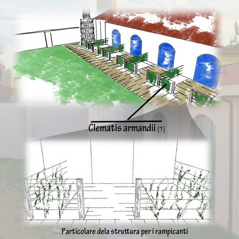 progettazione giardini